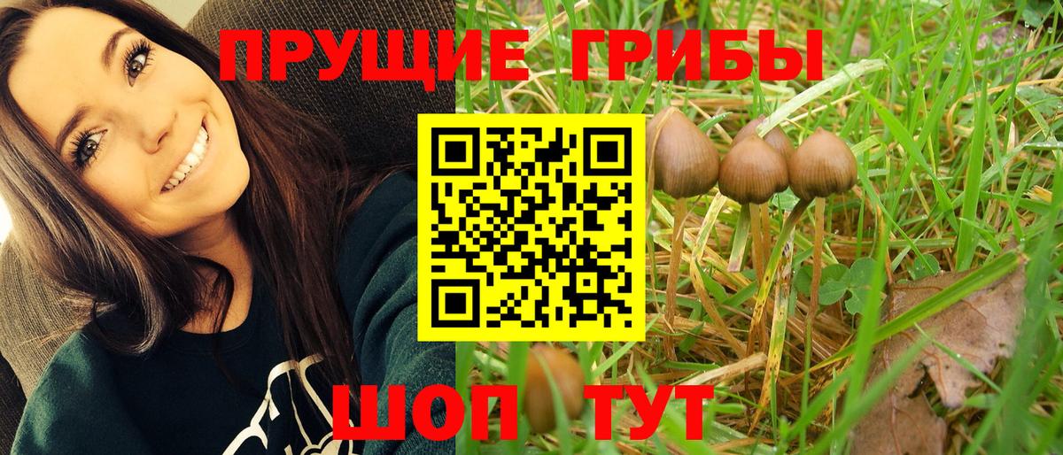 Галлюциногенные грибы прущие грибы  Псилоцибиновые грибы мицелий  Тула  Вход с VPN 
